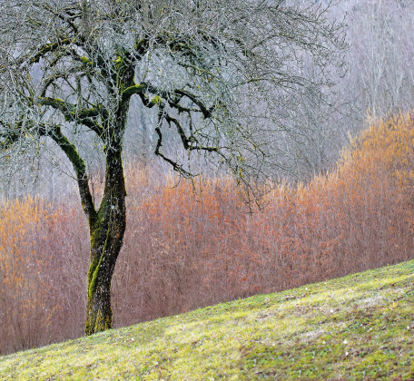03 ALPAGO - MARZO 2014