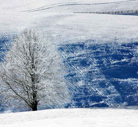 06 COL INDES 2 - GENNAIO 2013