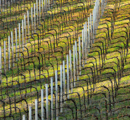 13 CONEGLIANO - MARZO 2015