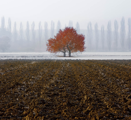 20 PRÀ DEI GAI 3 - DICEMBRE 2013