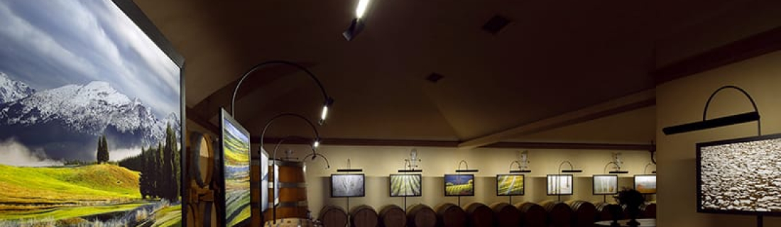 Grande successo per il vernissage inaugurale della mostra IL TEMPO DEI SEGNI.